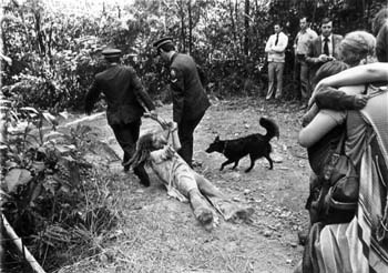 Terania Creek Protest, 1979Image by Darcy McFadden, Northern Star Newspaper